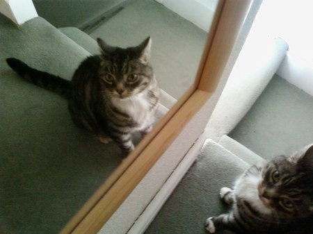 Columbo, reflecting on the meaning of existence