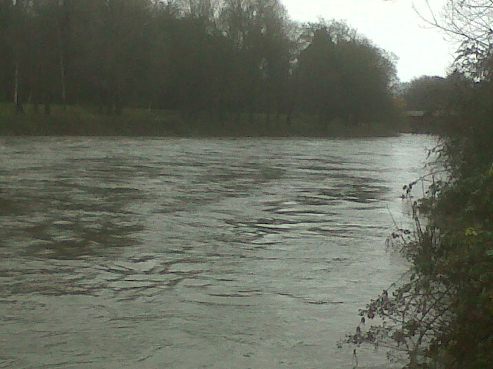 IMG00045-20110113-0926