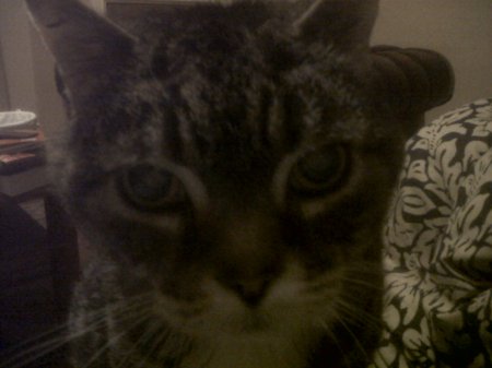 IMG00072-20110330-2251