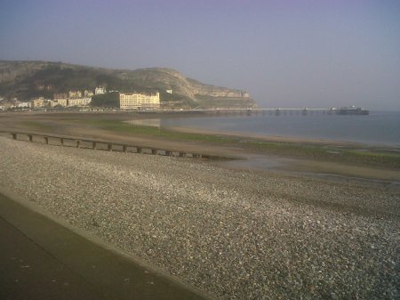 IMG00080-20110419-0816