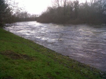 IMG00174-20120103-1311