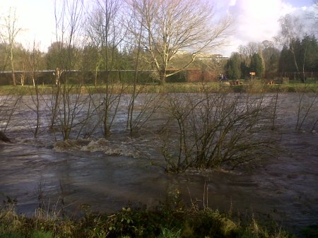 IMG00175-20120103-1316