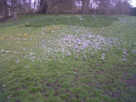 IMG00203-20120220-0934