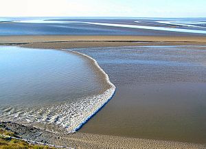 Tidal_Bore_-_geograph.org.uk_-_324581