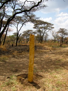 the 1st fence post in the ground