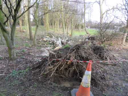 SAMSUNG DIGITAL CAMERA