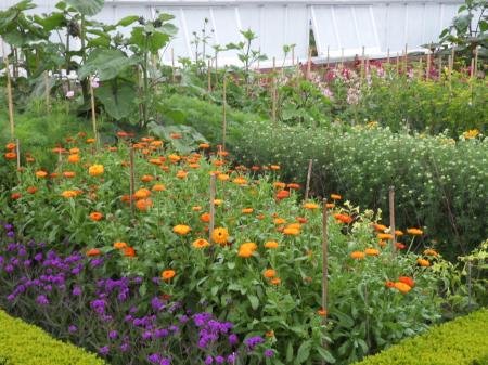 SAMSUNG DIGITAL CAMERA