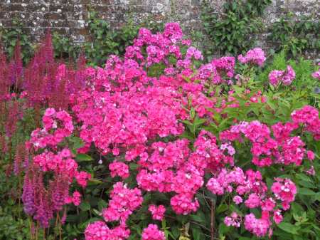 SAMSUNG DIGITAL CAMERA