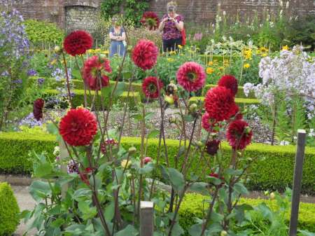 SAMSUNG DIGITAL CAMERA