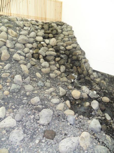 SAMSUNG DIGITAL CAMERA