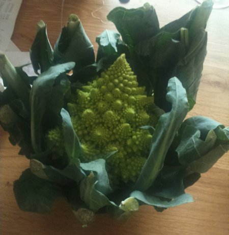 romanesco