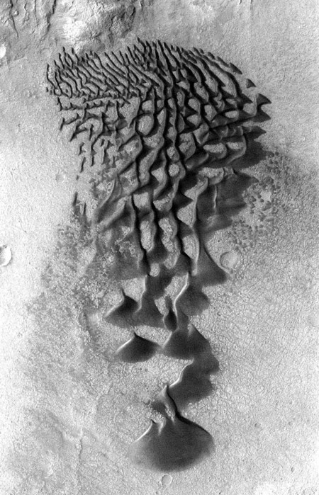 dunes